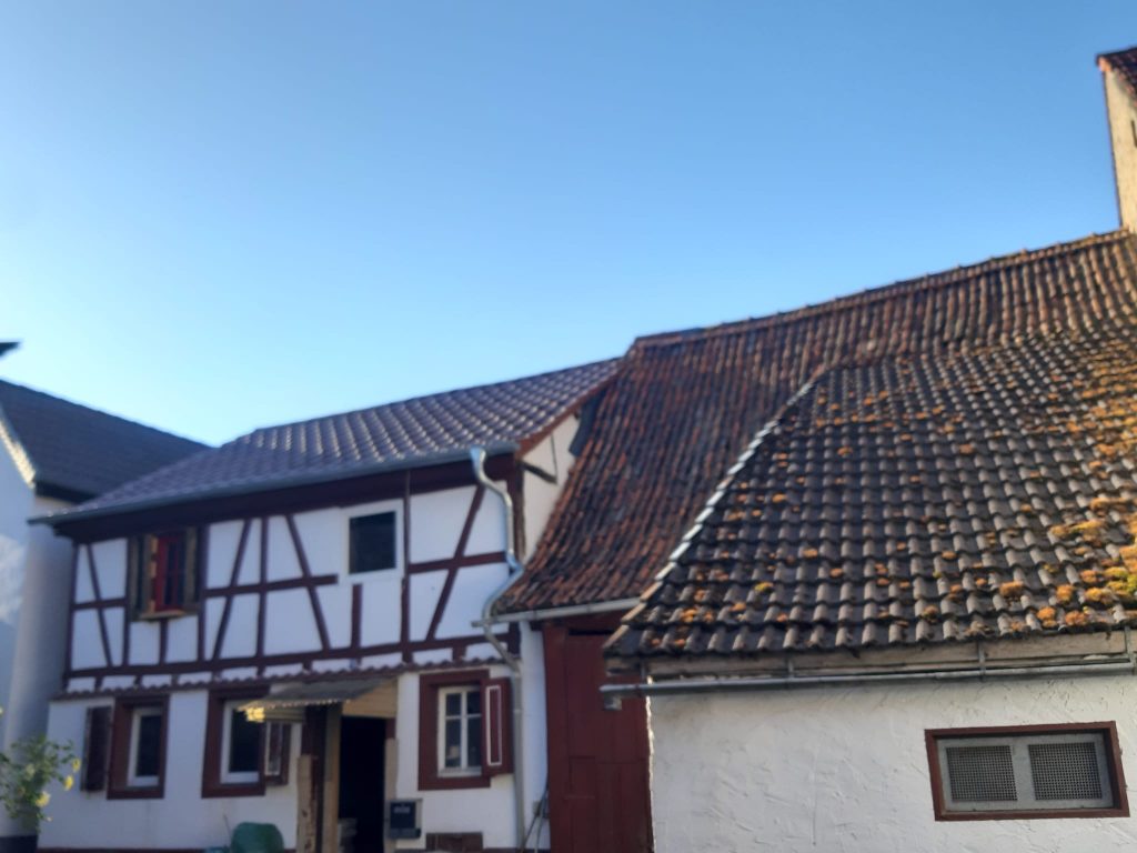Baustellenseminar Lehmbautechnik in Alsenz